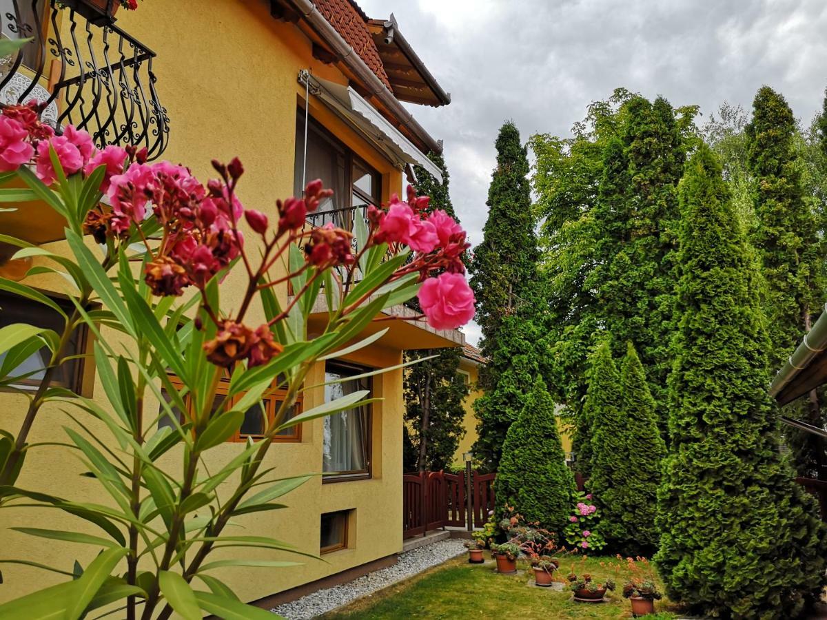 Bed and Breakfast Julia Panzio Hajdúszoboszló Exterior foto